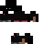 Texture for ninja