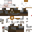 Texture for Diretor