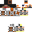 Texture for ds