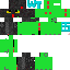 Texture for Rapter