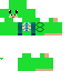 Texture for turtle in helmet
