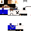 Texture for steve2