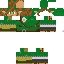 Texture for Link