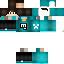 Texture for sasasa