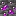 Texture for 44