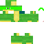 Texture for turtle