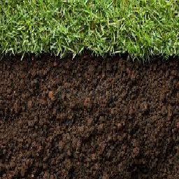 Texture for Grass block