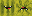 Texture for JVNQ