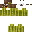 Texture for a