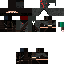 Texture for ninja