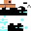 Texture for herobrian197