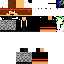 Texture for Nixonels army 2