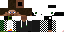 Texture for $Steve$