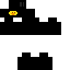 Texture for ninja