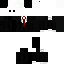Texture for ds