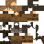 Texture for PICOAS