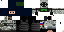 Texture for nwm