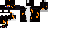 Texture for CAT COOKIE
