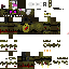 Texture for s