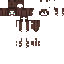Texture for test beird