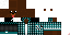 Texture for P3TERVOX