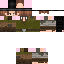 Texture for Cauã medieval