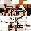 Texture for euclid