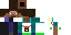 Texture for steve