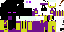 Texture for lsu inderman