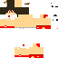 Texture for xDestroyer_Bart