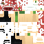 Texture for v4