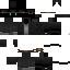 Texture for ZEL4