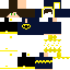 Texture for ds