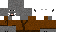 Texture for Splinter