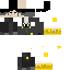 Texture for midas