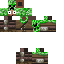 Texture for Steve The Creeper Hunter