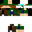 Texture for robin  hooo    gamer