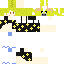 Texture for 夏服