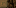 Texture for spruce_log