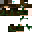 Texture for druid
