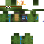 Texture for turtle
