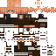 Texture for lion avec hoki