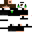 Texture for Скин Богдана