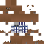 Texture for santi