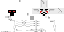 Texture for skelet