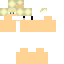 Texture for concept bruno