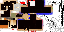Texture for cachor