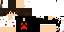 Texture for ds
