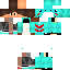 Texture for GO-TRIX