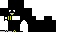 Texture for p;enguin